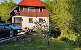 Guest House Wolf II